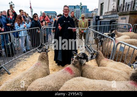 Ein Kirchenbeamter segnet das Schaf während der Zeremonie „The Seessing of the Sheep“, die dem Annual Sheep Drive, Southwark Bridge, London, vorangeht. Stockfoto