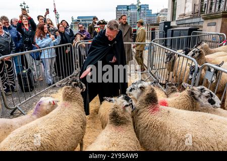 Ein Kirchenbeamter segnet das Schaf während der Zeremonie „The Seessing of the Sheep“, die dem Annual Sheep Drive, Southwark Bridge, London, vorangeht. Stockfoto