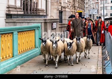 Hollywood-Schauspieler Damian Lewis leitet den Annual Sheep Drive Across Southwark Bridge in einer Veranstaltung, die von der Worshipful Company of Woolmen, London, Großbritannien, veranstaltet wird. Stockfoto