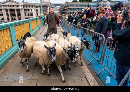 Hollywood-Schauspieler Damian Lewis leitet den Annual Sheep Drive Across Southwark Bridge in einer Veranstaltung, die von der Worshipful Company of Woolmen, London, Großbritannien, veranstaltet wird. Stockfoto