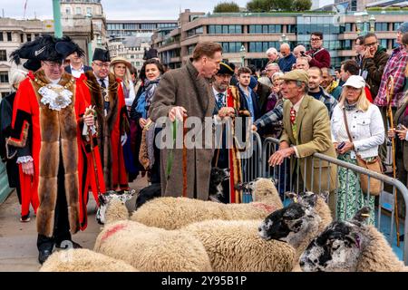 Der Hollywood-Schauspieler Damian Lewis führt gemeinsam mit dem Lord Mayor of London, London, Großbritannien, den Annual Sheep Drive über die Southwark Bridge. Stockfoto