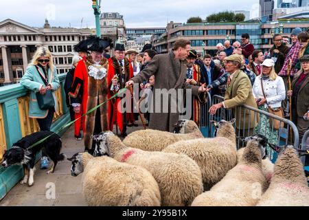 Der Hollywood-Schauspieler Damian Lewis führt gemeinsam mit dem Lord Mayor of London, London, Großbritannien, den Annual Sheep Drive über die Southwark Bridge. Stockfoto