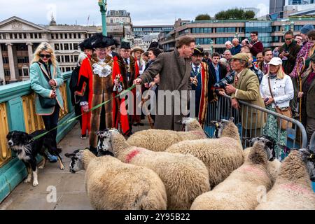 Der Hollywood-Schauspieler Damian Lewis führt gemeinsam mit dem Lord Mayor of London, London, Großbritannien, den Annual Sheep Drive über die Southwark Bridge. Stockfoto