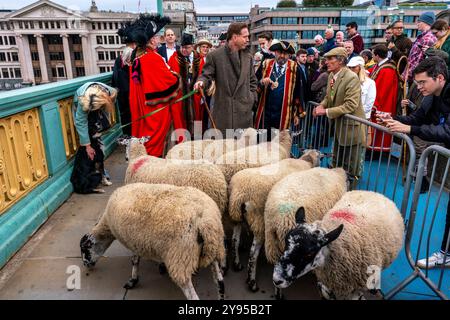 Der Hollywood-Schauspieler Damian Lewis führt gemeinsam mit dem Lord Mayor of London, London, Großbritannien, den Annual Sheep Drive über die Southwark Bridge. Stockfoto