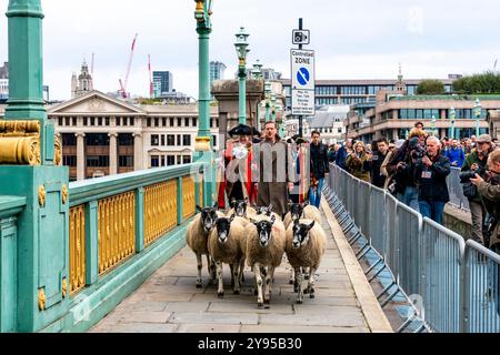 Hollywood-Schauspieler Damian Lewis leitet den Annual Sheep Drive Across Southwark Bridge in einer Veranstaltung, die von der Worshipful Company of Woolmen, London, Großbritannien, veranstaltet wird. Stockfoto