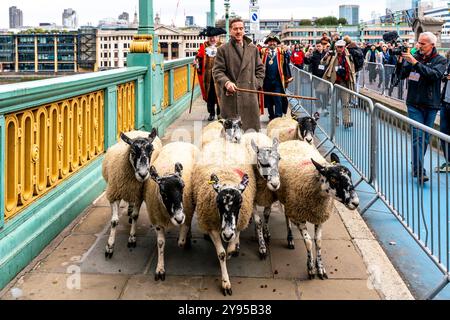 Hollywood-Schauspieler Damian Lewis leitet den Annual Sheep Drive Across Southwark Bridge in einer Veranstaltung, die von der Worshipful Company of Woolmen, London, Großbritannien, veranstaltet wird. Stockfoto