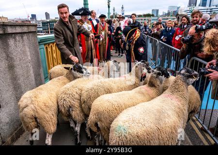 Hollywood-Schauspieler Damian Lewis leitet den Annual Sheep Drive Across Southwark Bridge in einer Veranstaltung, die von der Worshipful Company of Woolmen, London, Großbritannien, veranstaltet wird. Stockfoto