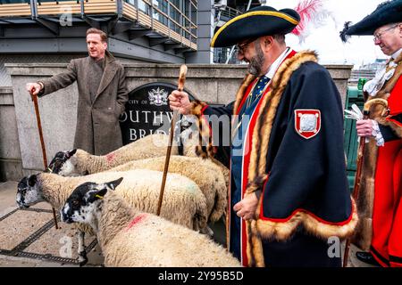 Hollywood-Schauspieler Damian Lewis führt gemeinsam mit Meister Woolman Manny Cohen, London, den Annual Sheep Drive über die Southwark Bridge. Stockfoto