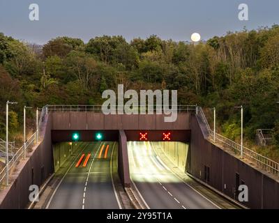 Der Verkehr fließt auf dem A55 North Wales Expressway am Conwy Tunnel, während der Mond darüber steigt. Stockfoto