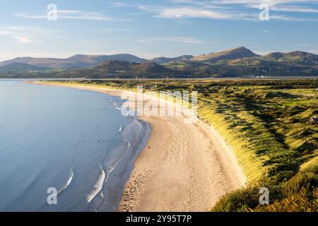 Sanddünen und eine lange Strandlinie Tremadog Bay bei Morfa Harlech in Nordwales, mit den Bergen von Snowdonia dahinter. Stockfoto