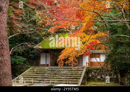 Ein moosbedecktes Tor steht am Eingang eines japanischen Tempels, umgeben von leuchtend rot-orange Herbstlaub in einer friedlichen Waldlandschaft. Stockfoto