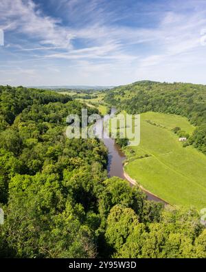 Der berühmte Blick über den gewundenen Fluss Wye am Symonds Yat Rock an der Grenze zwischen Gloucestershire und Herefordshire. Stockfoto