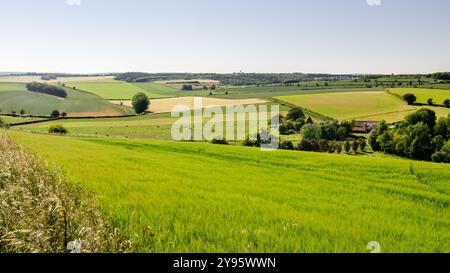 Landwirtschaftlich genutzten Feldern und Kreide Downland um die dünn besiedelten Tarrant Valley in Englands Dorset Downs Hügeln. Stockfoto