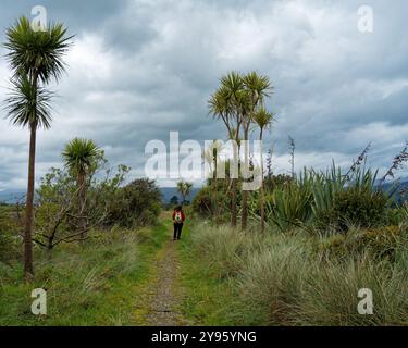 Karamea, Westküste, Südinsel, Aotearoa / Neuseeland - 19. September 2024: Eine Person mit Rucksack, die auf dem Karamea Estuary Walkway nach Norden geht Stockfoto