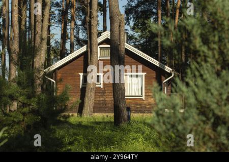 Gemütliches kleines Holzhaus in einem Kiefernwald im Sommer. Rustikale ruhige Hütte Retreat in der Natur ländlichen Gegend Stockfoto