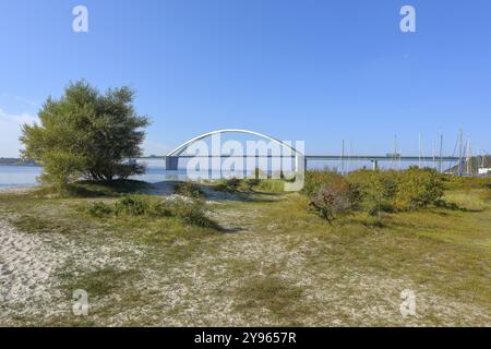 Strand vor der Fehmarnsund Brücke, verbindet die Insel Fehmarn in der Ostsee mit dem Festland bei Grossenbrode Fehmarn Island, Grossenbrod Stockfoto