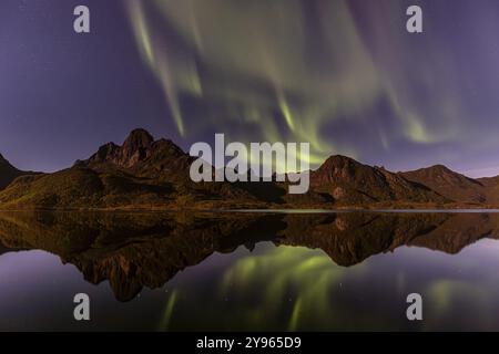 Nordlichter, Aurora borealis, Berge im Fjord, Herbst, Vesteralen, Norwegen, Europa Stockfoto