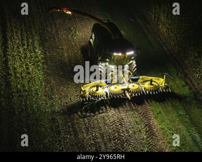 Ein Mähdrescher erntet nachts ein Maisfeld, beleuchtet durch Flutlichter, Maisernte, Dachtel, Schwarzwald, Deutschland, Europa Stockfoto