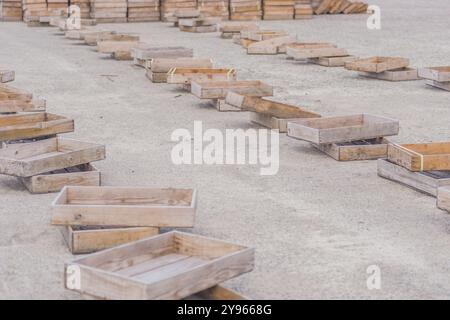 Holzkisten in Reihen auf einem Zementplatz im Fischereihafen in Südkorea Stockfoto