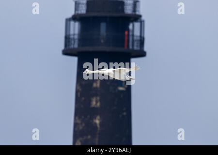 Suomeksi ||| auf Englisch Stockfoto