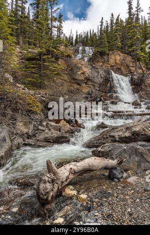 Atemberaubende Szenen von den Tangle Creek Falls auf dem Icefields Parkway im Frühling mit einem Naturwasserfall, der entlang einer wunderschönen Klippe verläuft Stockfoto