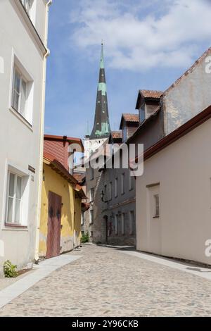 Blick auf die Straße in der Altstadt von Tallinn in Estland Stockfoto