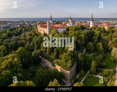 Blick auf die Drohne aus der Luft über den Toompea-Hügel in der Altstadt von Tallinn, Estland Stockfoto