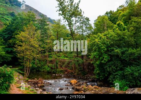 Malerischer Blick auf den Argonza River bei Barcena Mayor im Tal von Cabuerniga. Region Saja Nansa Stockfoto