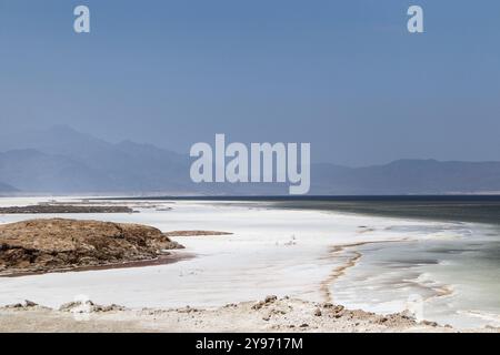 Djibouti, Lake Assal: Salzsee, der 155 m (509 ft) unter dem Meeresspiegel im Afar-Dreieck liegt und damit der niedrigste Punkt an Land in Afrika und dem Afar-Dreieck ist Stockfoto