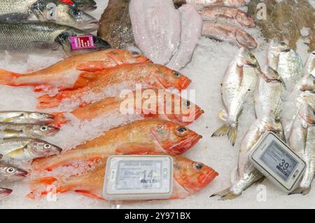 Antibes (Südostfrankreich): Dieser Carrefour-Hypermarkt ist einer der drei größten Hypermärkte der Marke. Der Fischhändler ist der größte in Frankreich, wi Stockfoto