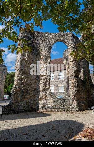 Reading Abbey Ruins, Reading, Berkshire, England, Großbritannien. Ruinierte Abtei, die 1121 von Heinrich I. gegründet wurde Stockfoto