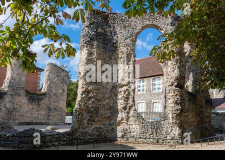 Reading Abbey Ruins, Reading, Berkshire, England, Großbritannien. Ruinierte Abtei, die 1121 von Heinrich I. gegründet wurde Stockfoto