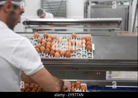 Saint-Fulgent (Mittelwestfrankreich): Lohmann France, eine Tochtergesellschaft der EW-Gruppe, führend im Schlüpfen und Vertrieb von Eintagsküken für reari Stockfoto