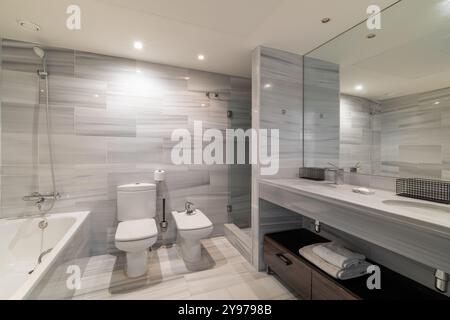 Ein modernes, luxuriöses Badezimmer mit atemberaubendem Marmordesign und eleganten Einrichtungselementen, die die Schönheit betonen Stockfoto
