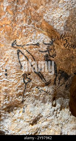 Höhlenmalereien in der Lascaux-Höhle Stockfoto