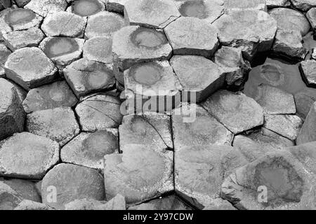 Schwarz-weiße Nahaufnahme der Basaltsäulen am Giant Causeway, von oben geschossen. Die sechseckigen Formen und Texturen der Steine schaffen ein natürliches PA Stockfoto