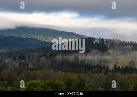 Herbstnebel im Böhmischen Wald in Pekna, Tschechien, am 7. Oktober 2024. (CTK Photo/Vaclav Pancer) Stockfoto