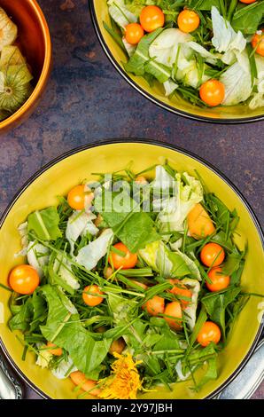 Salat von Wildpflanzen, Löwenzahn und Physalis. Stockfoto