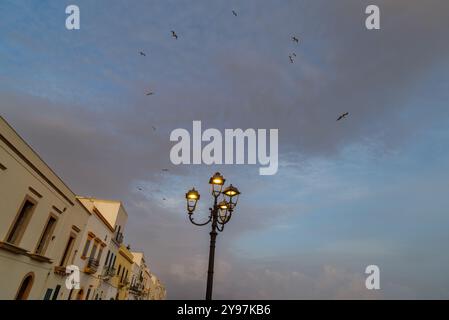 Das letzte Licht beleuchtet das historische Zentrum der antiken Stadt Gallipoli, Halbinsel Salento, Provinz Lecce, Apulien, Italien Stockfoto