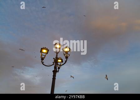 Das letzte Licht beleuchtet das historische Zentrum der antiken Stadt Gallipoli, Halbinsel Salento, Provinz Lecce, Apulien, Italien Stockfoto