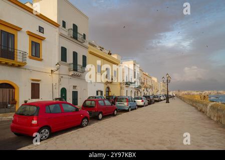 Das letzte Licht beleuchtet das historische Zentrum der antiken Stadt Gallipoli, Halbinsel Salento, Provinz Lecce, Apulien, Italien Stockfoto