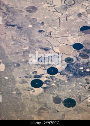 Luftaufnahme von kreisförmigen Agrarfeldern in der arabischen Wüste in Saudi-Arabien. Stockfoto