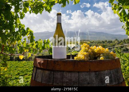 Idyllische Weinverkostungsszene mit Weißweinflasche, Gläsern und frischen Trauben auf rustikalen Holzfässern mit Blick auf eine malerische Weinberglandschaft. Pro Stockfoto