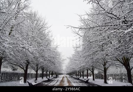 London, Großbritannien. Dezember 2022. Regent's Park war schneebedeckt, als die Temperaturen im Vereinigten Königreich eiskalt waren. Quelle: Vuk Valcic/Alamy Stockfoto