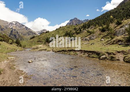 Malerische Berglandschaft mit einem klaren Bach, der durch ein üppiges grünes Tal unter einem hellblauen Himmel fließt Stockfoto