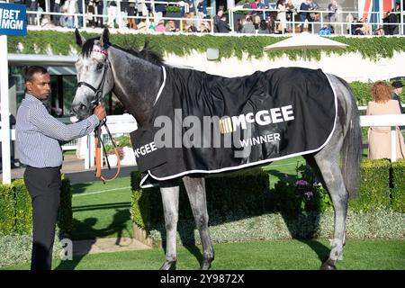 Ascot, Berkshire, Großbritannien. Oktober 2024. SUNFALL Reiten von Jockey Cieren Fallon gewinnt die McGee Group British EBF October Stakes (Class 1) (Listed Race) beim BetMGM Autumn Saturday Raceday auf der Ascot Racecourse in Berkshire. Besitzer, Züchter und Sponsor, Cheveley Park Stud Limited, Trainer William Haggas, Newmarket. Kredit: Maureen McLean/Alamy Stockfoto