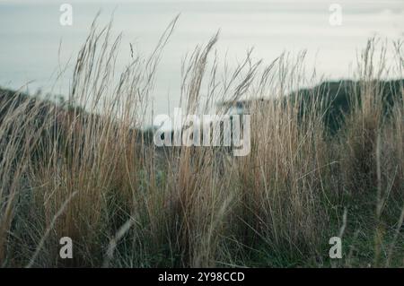 Blick auf das Mittelmeer von den Höhen des Naturparks Estérel an der französischen Riviera (Frankreich) Stockfoto