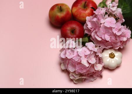 Rosa Hortensie auf rosa Hintergrund. Nahaufnahme von Blumenblättern. Stockfoto