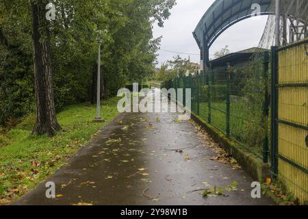 Noreña, Spanien, 09. Oktober 2024: Viele Blätter liegen während des Sturms auf dem Boden Kirk trifft Spanien am 09. Oktober 2024 in Noreña, Spanien. Quelle: Alberto Brevers / Alamy Live News. Stockfoto