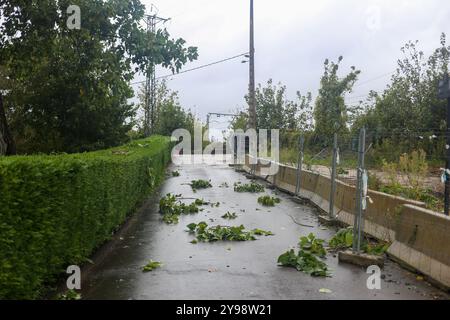 Noreña, Spanien, 09. Oktober 2024: Viele Blätter liegen während des Sturms auf dem Boden Kirk trifft Spanien am 09. Oktober 2024 in Noreña, Spanien. Quelle: Alberto Brevers / Alamy Live News. Stockfoto